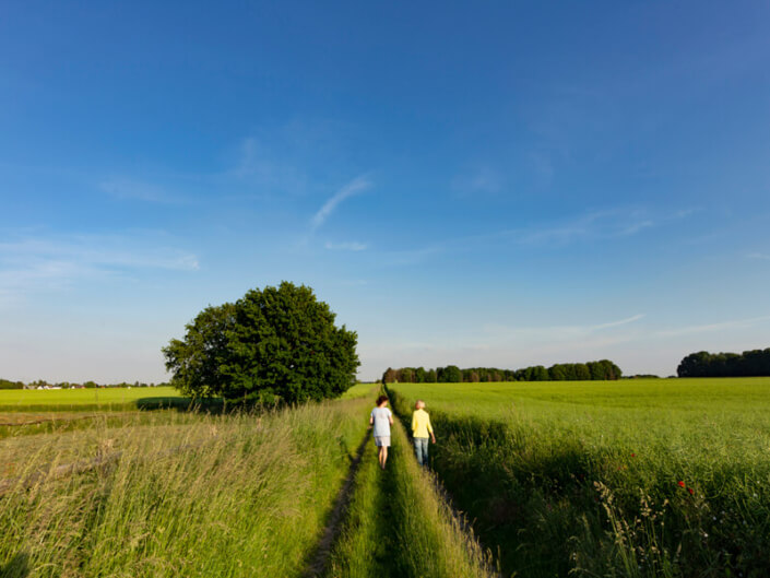 Beim Naturcoaching in Köln durch körperliche Bewegung Bewegung in die Gedanken bringen